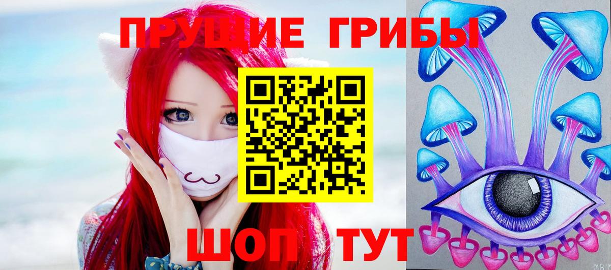 Галлюциногенные грибы мицелий  Псилоцибиновые грибы Magic Shrooms  Вход с VPN  наркошоп  Каменка 