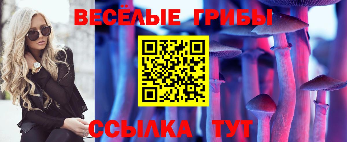 Псилоцибиновые грибы Psilocybine cubensis Каменка